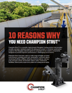 10 Reasons Why You Need Champion Strut